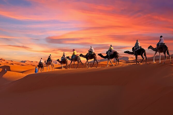 2-Day Tunisia Sahara Desert Camel Trek from Douz - Key things to know before you go