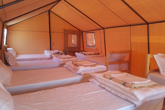 2-Day Tunisia Sahara Desert Camel Trek from Douz - Why Douz is such a smart starting point for a Sahara camel trek