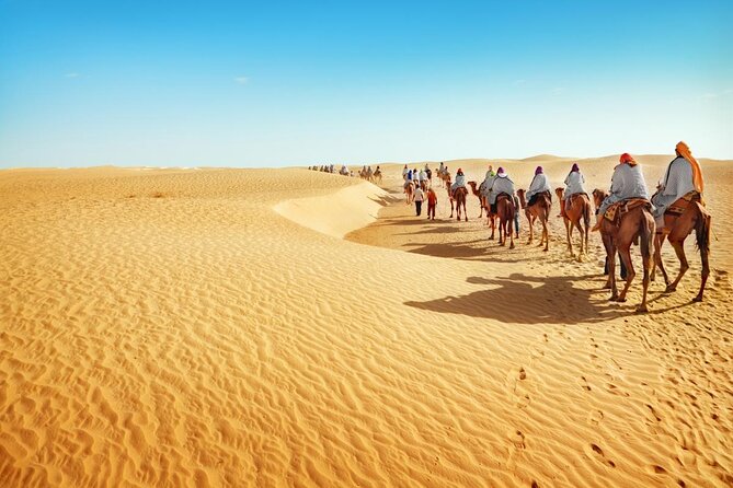 2-Day Tunisia Sahara Desert Camel Trek from Douz - Day 2: sunrise riding, Berber breakfast, and an easy return to Douz