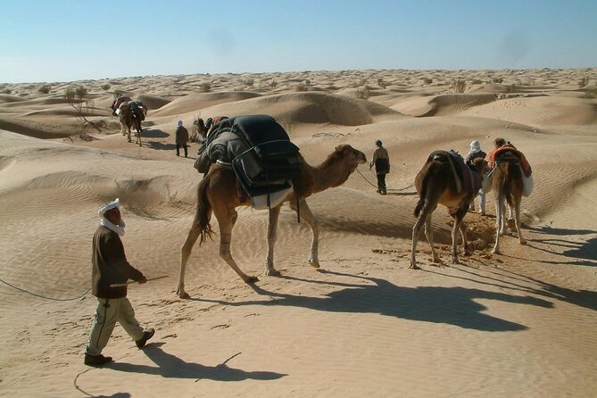 2-Day Tunisian Sahara Tour with Food & Stay from Hammamet - Getting on the road: early departures, pickup, and a big route