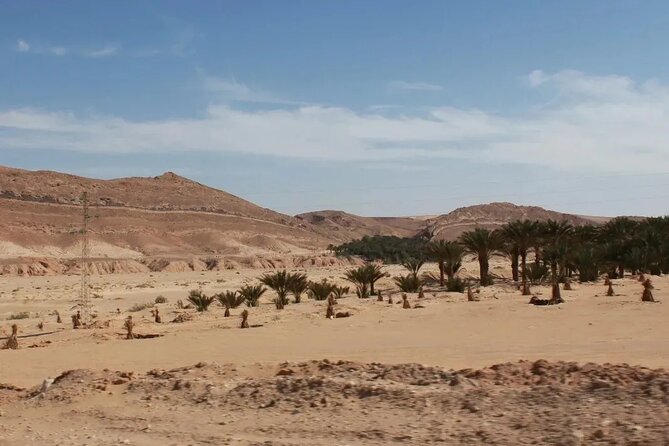 2 Days Private Tour to Ksar Ghilane: Night in Tent - Crossing the Reg to Ksar Ghilane: the oasis moment you came for