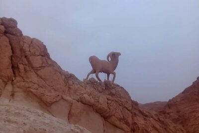 2 Days Tour of the Sahara from Hammamet