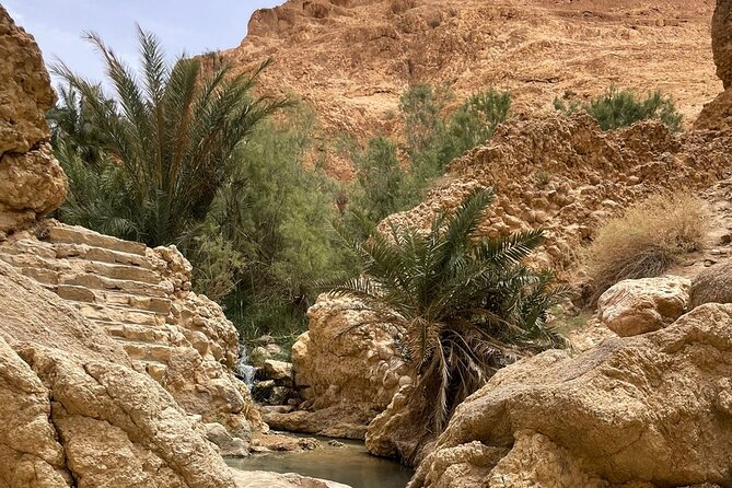 2 Days Tour of the Sahara from Hammamet - Douz Sud Desert Dinner and Overnight: The Bedouin Night Portion