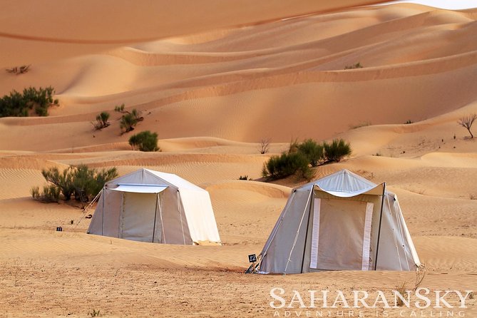 2 Days Tunisia Sahara Desert Buggy Safari Adventure - Key things to know before you go