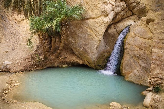 3-Day South of Tunisia Guided Tour from Tunis - Day 3: Chebika waterfalls, Tamerza canyon-green, then Kairouan’s medina power
