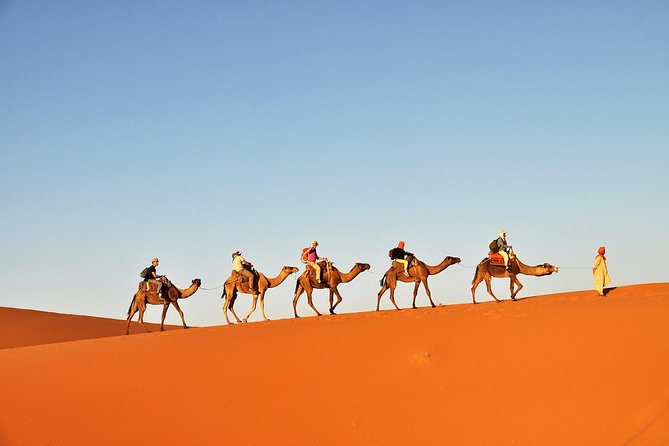 3-Day Tunisia Sahara Desert Camel Trek from Douz - Why Douz is the right starting point for a camel trek