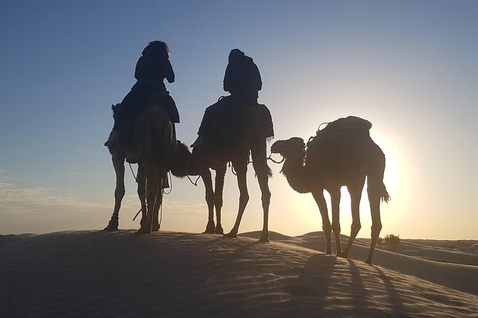 3-Day Tunisia Sahara Desert Camel Trek from Douz - Day 2: Berber breakfast, Bedouin lunch, and sunset riding on golden dunes