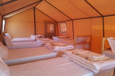3-Day Tunisia Sahara Desert Camel Trek from Douz