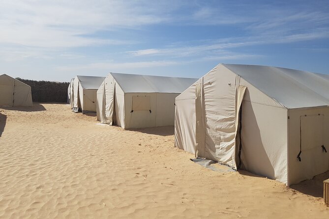 3-Day Tunisia Sahara Desert Camel Trek from Douz - Camels, cameleers, and the human touch that shows up in guides