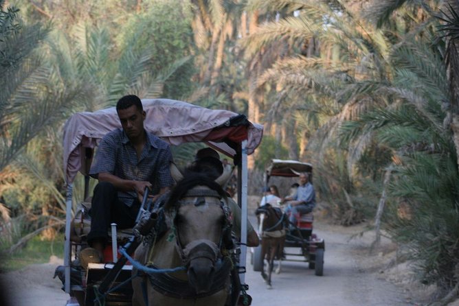 3DAYS 4x4 safari from Sousse/Hammamet/Tunis 100km deep in desert camp - Price and value: what $739.97 buys you
