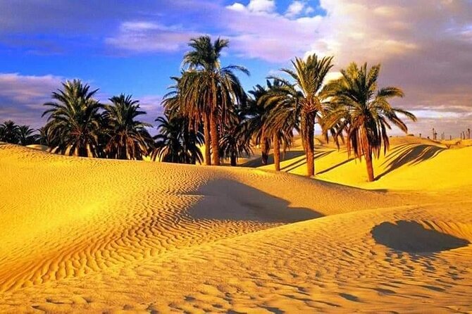 4-Day Private Tour: Sahara and Djerba Island from Tunis and Hammamet - Ksar Ghilane and the included camel ride you will actually plan around