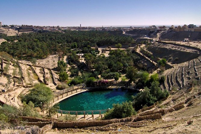 4 Days Tunisia Discovery Private Tour - Price and Inclusions: What You’re Really Paying For