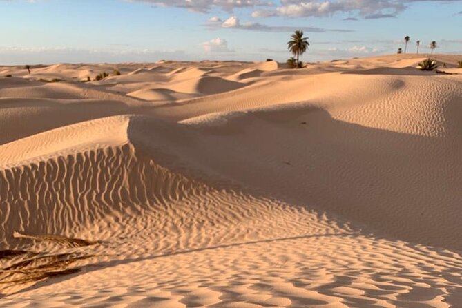 7 Day Guided Tunisia Tour Including Pickup - Key reasons this tour feels worth it