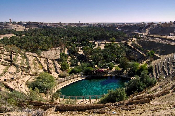 8 Days Tunisia Essential Discovery Private Tour - Carthage, Sidi Bou Said, and the Bardo Museum: A Roman-to-Mediterranean Day