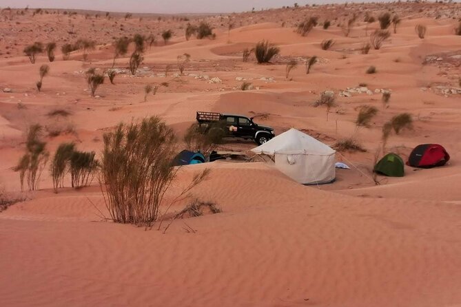 A Private Night at Desert Douz Tozeur - Day 2 in the Tozeur Governorate: Medina, souks, oasis valleys, and the waterfall at Temegza