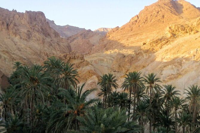 A Private Night at Desert Douz Tozeur - The starry desert camp: dinner over wood fire, tents, camp beds, and that night silence