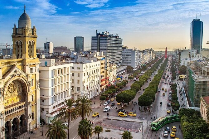 Airport Tunis Carthage Private Transfer to/from Hammamet - The Name-Sign Meet-and-Greet at Tunis Carthage