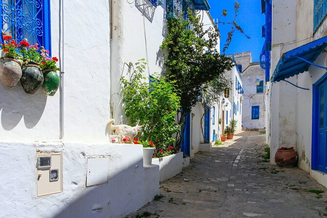 Ancient Carthage and Sidi Bou Said Half Day Tour with Lunch - Price and value at around $76: what you actually get