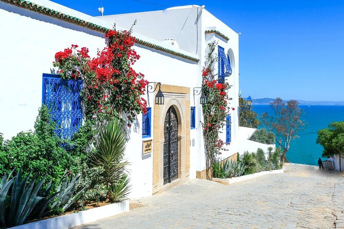 Ancient Carthage and Sidi Bou Said Half Day Tour with Lunch - Carthage in 2 focused hours, Baths of Antoninus first
