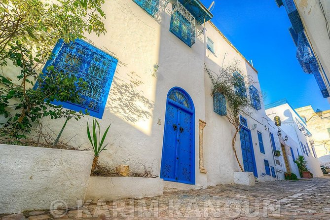Bardo Museum- The ruins of Carthage- Village of Sidi Bou Said - How Pickup and a Private Driver Change the Whole Experience