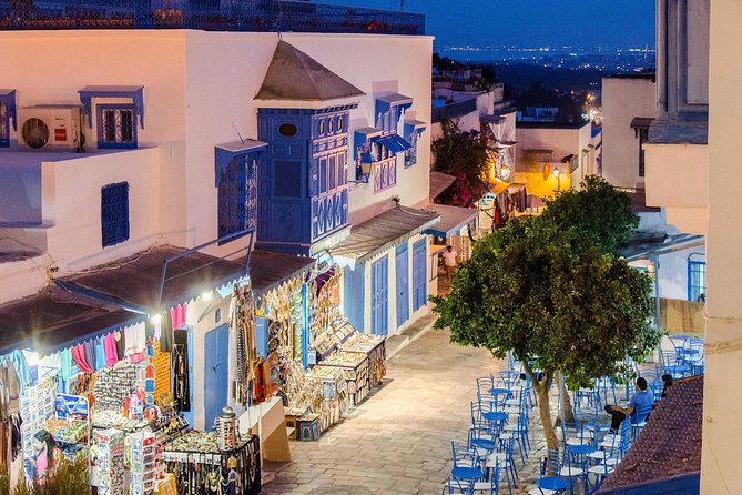 Bardo Museum- The ruins of Carthage- Village of Sidi Bou Said - Sidi Bou Said: Blue-and-White Streets With Sea Views