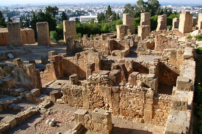 Bardo Museum with Medina, Carthage and Sidi Bou Private Tour - A Private Tunis Day That Hits Carthage, Bardo, Sidi Bou Said, and the Medina