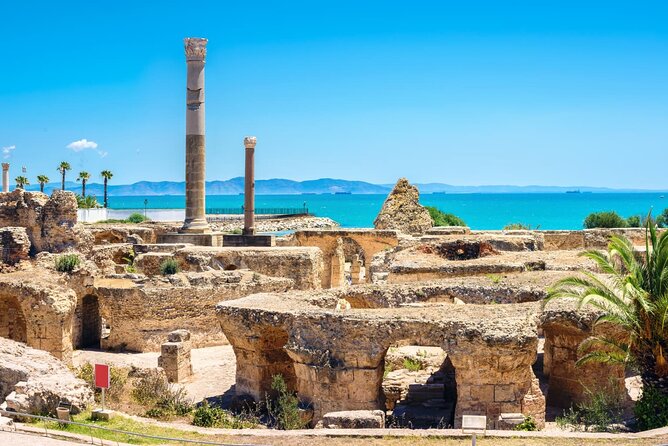 Bardo Museum with Medina, Carthage and Sidi Bou Private Tour - The National Bardo Museum, Getting Real Value From About 1 Hour