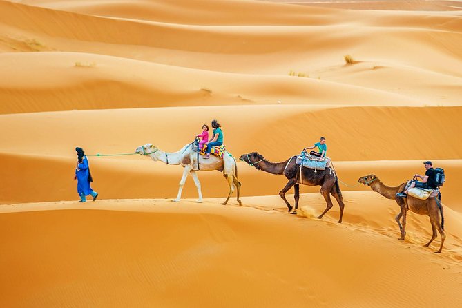 Camel & Quad Combo In Douz Sahara Desert - Camel and Quad from Douz: What You Are Actually Booking