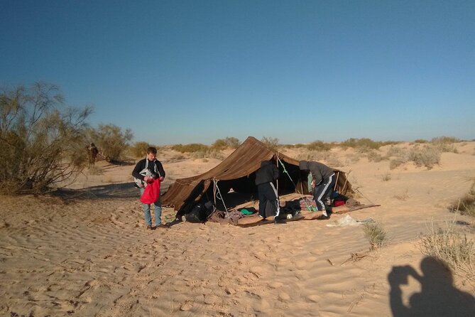 Camel ride and 1 night in the desert - Tozeur desert camel safari: why overnight beats a day trip