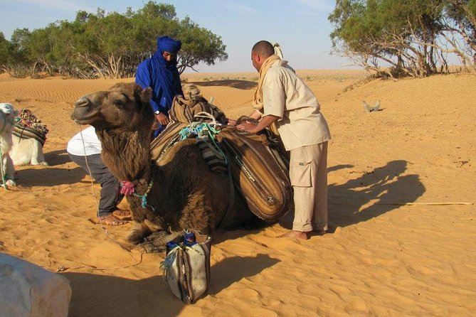 Camel ride and 1 night in the desert - Chott Djerid: the salt lake stop that feels otherworldly