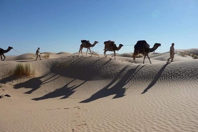 Camel ride and 1 night in the desert - Golden dunes by day: changing light and a slower pace