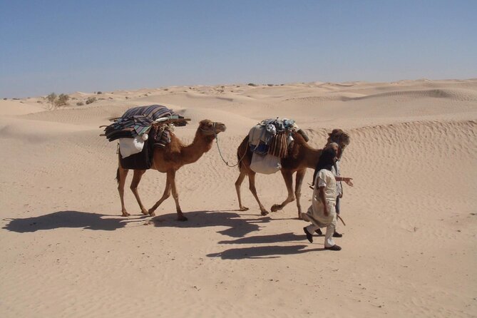 Camel ride and 1 night in the desert - Camp night in the desert: dinner by fire and the stars