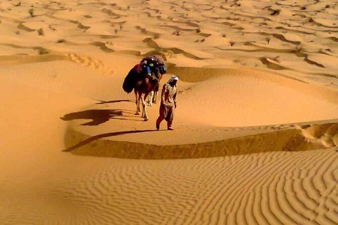 Camel ride and 1 night in the desert - What’s included, what’s not, and how to budget without surprises