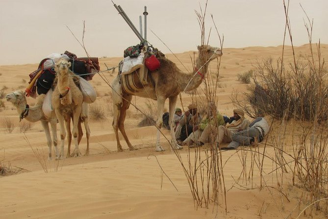 Camel ride and 1 night in the desert - Timing and pickup from Tozeur: planning your 2-day rhythm