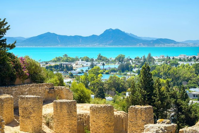 Carthage, Bardo Museum, Sidi Bou Said and Medina Private Day Tour - Key highlights worth your attention