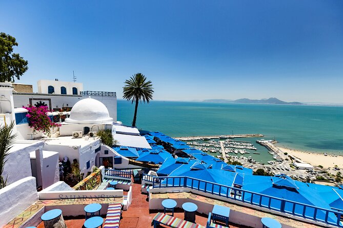 Carthage, Bardo Museum, Sidi Bou Said and Medina Private Day Tour - Getting picked up in Tunis (and Hammamet) without wasting daylight