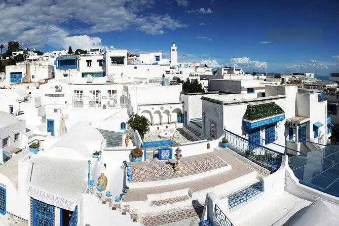 Carthage, Bardo Museum, Sidi Bou Said and Medina Private Day Tour - Sidi Bou Said: the blue-and-white break that makes the day feel human