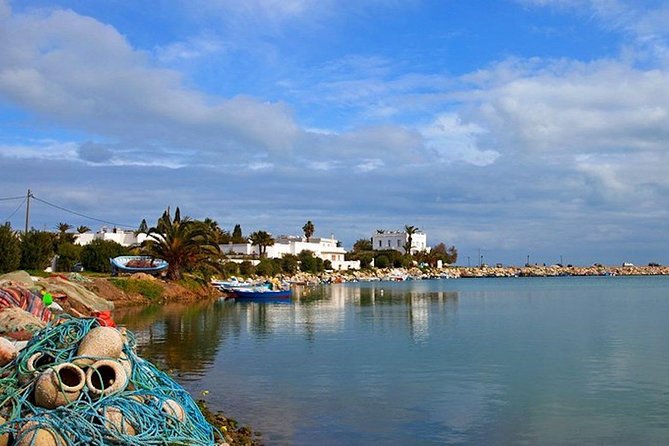 Carthage Discovery Half-Day Tour with Licensed Guide - Stop 2 at Tophet de Carthage: a sensitive stop you should treat carefully