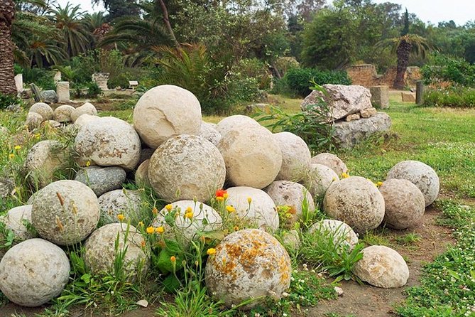 Carthage Discovery Half-Day Tour with Licensed Guide - Price and value: $94.90 for a half day that includes the important bits