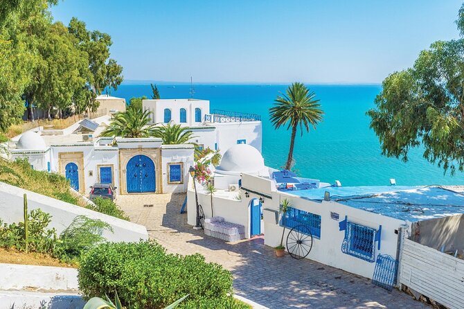 Carthage, Sidi Bousaid, and La Médina - Key Points You Should Know Before You Go