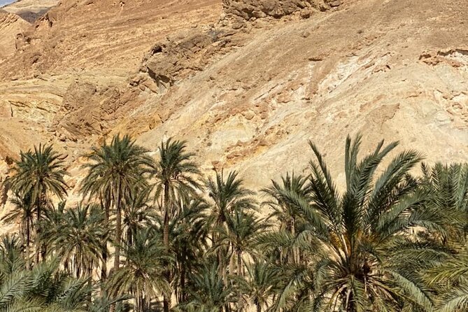 Circuit the south of Tunisia in 2 days Sahara Explorer - Hammamet Pickup and the 6:30 am Reality Check