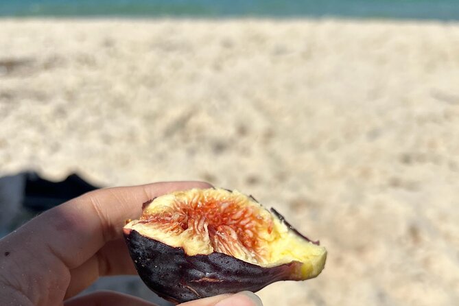 Cook and Connect: Tunisian Culinary Adventure with a Local Family - Pickup, duration, and how this runs from start to finish