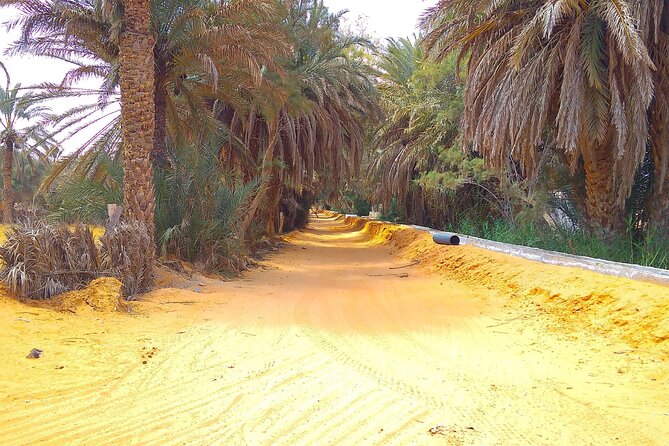Day Trip in Ksar Ghilane with Lunch and Pickup - Key Things to Know Before You Go