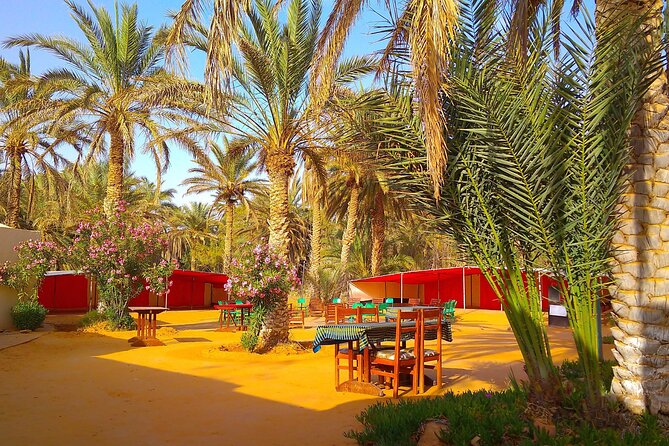 Day Trip in Ksar Ghilane with Lunch and Pickup - A Desert Day Trip That Starts Before the Sun in Djerba