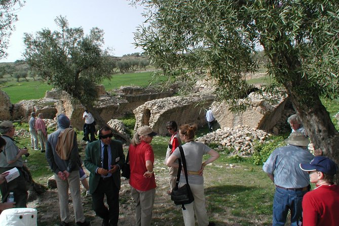 DAY TRIP TO Dougga & Bulla Regia , DEPARTURE FROM Tunis - Price and value: is $175.29 worth it?