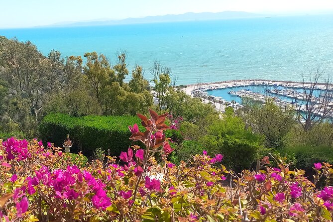 Daytrip Carthage Sidi Bousaid Bardo and Tunis Medina - Carthage morning: Tophet, ports, Roman baths, and the museum at Byrsa