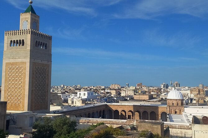 Daytrip Carthage Sidi Bousaid Bardo and Tunis Medina - Who should book this daytrip, and who should choose something else