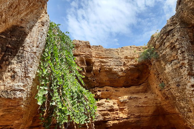 Daytrip to Kerkouen Unesco Site Kelibia and Houaria Caves - Key highlights worth marking on your map