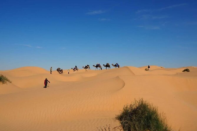 Desert tours and adventurous camel trekking through the Sahara - Getting Off the Grid: Djerba Pickup to Erg Oriental Dunes