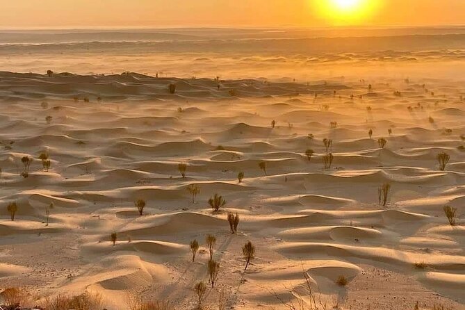 Desert tours and adventurous camel trekking through the Sahara - Douz and Matmata: The Cultural Stops Before and After the Sand